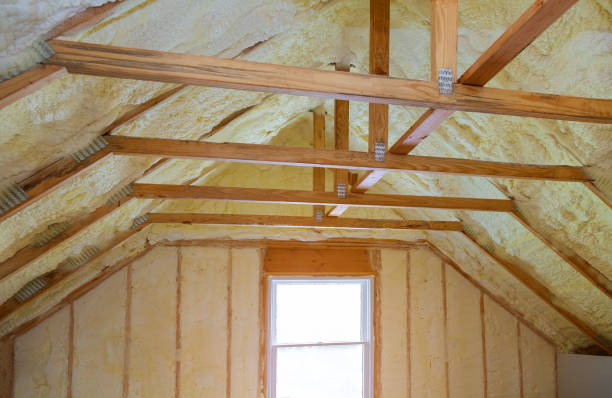 Best Cellulose Insulation  in Glendale, CO