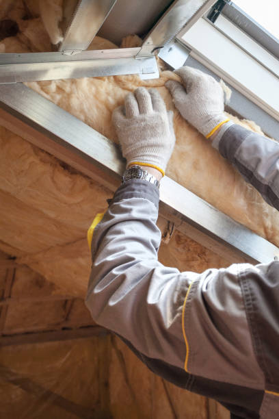 Best Insulation Replacement Services  in Glendale, CO