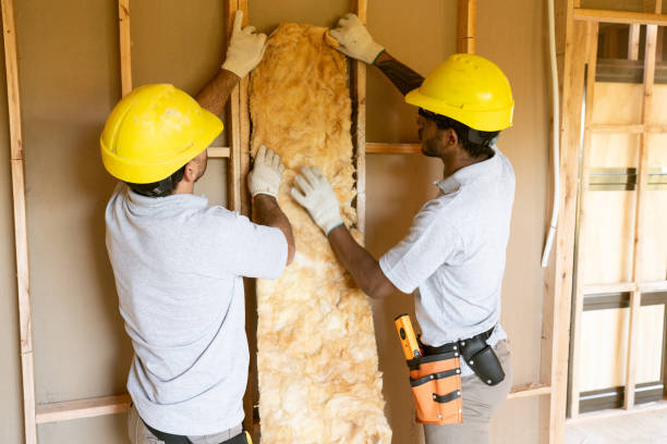 Best Energy-efficient Insulation  in Glendale, CO