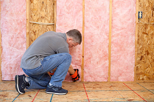 Best Insulation Repair Services  in Glendale, CO